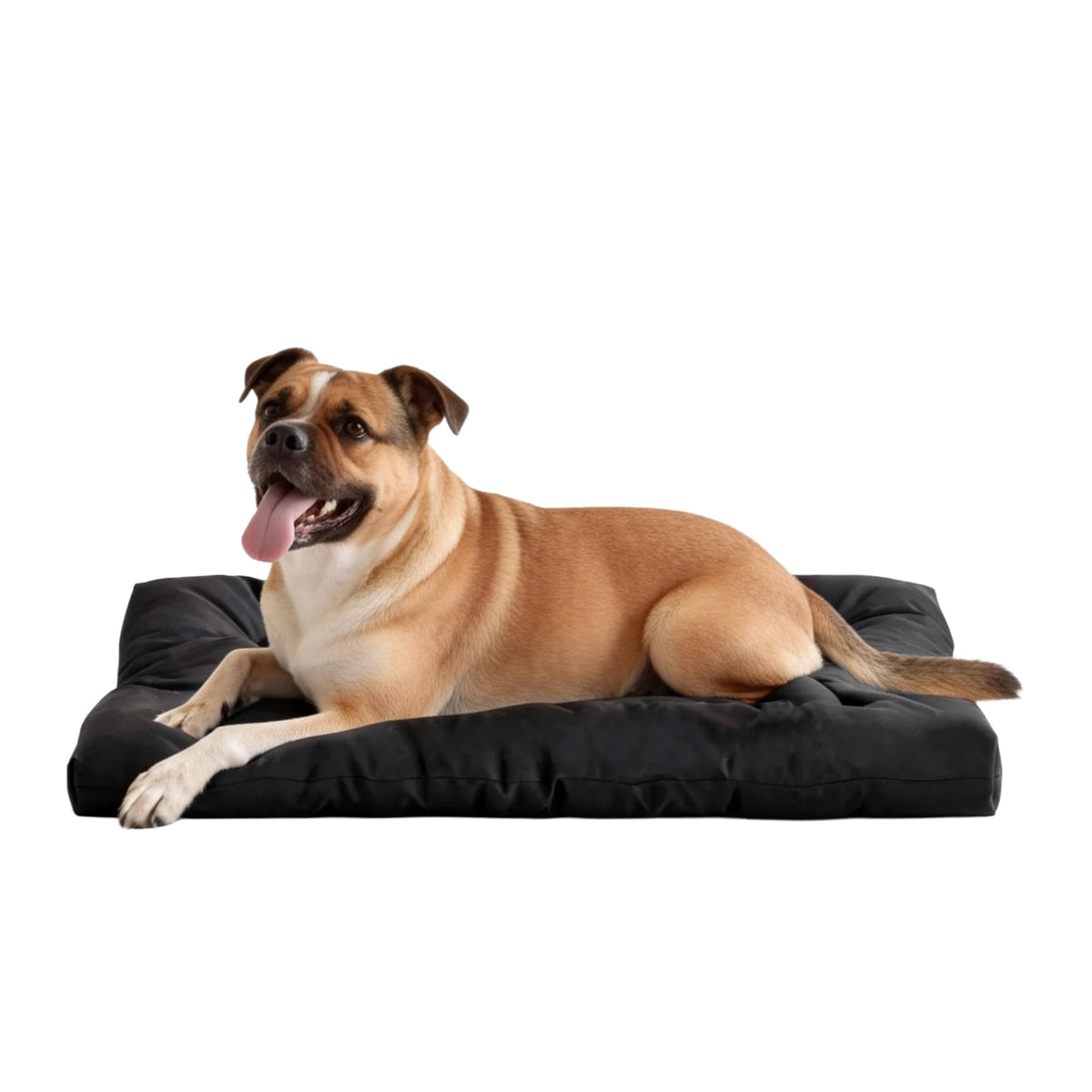Indestructible Chew Proof Dog Bed Waterproof Washable Crate Pad