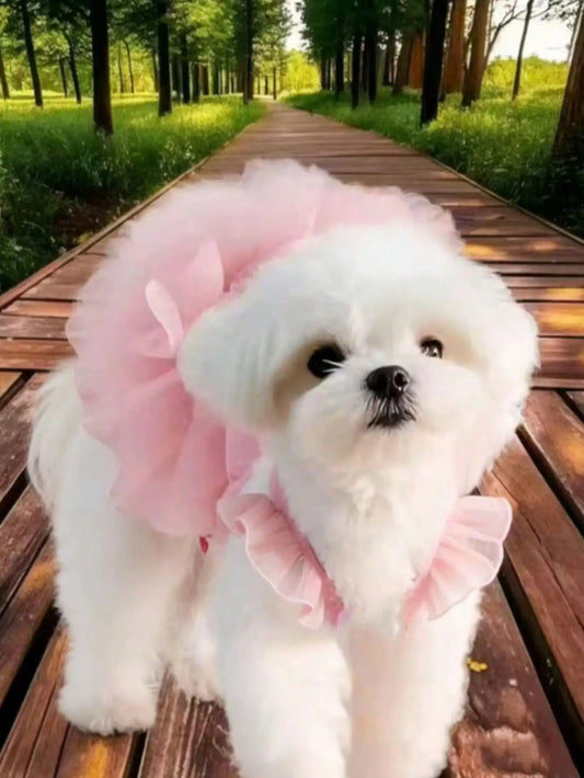 Ruffled Sleeve Princess Dress For Small Pet Dogs And Cats