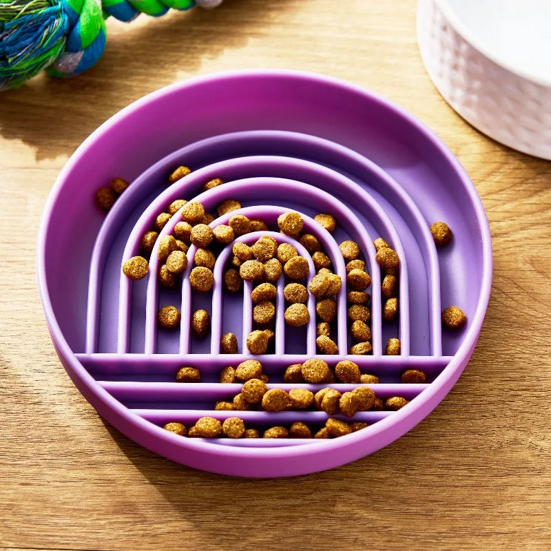Slow Feeder Bowl for Pets, Purple Rainbow