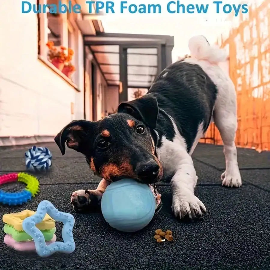 4/8pcs Pet Toy Set, Cute Blue Dog Chew Toys, Dog Rope Toys, Dog Ball Toys, Suitable For Dogs, Interactive Toys For Dogs
