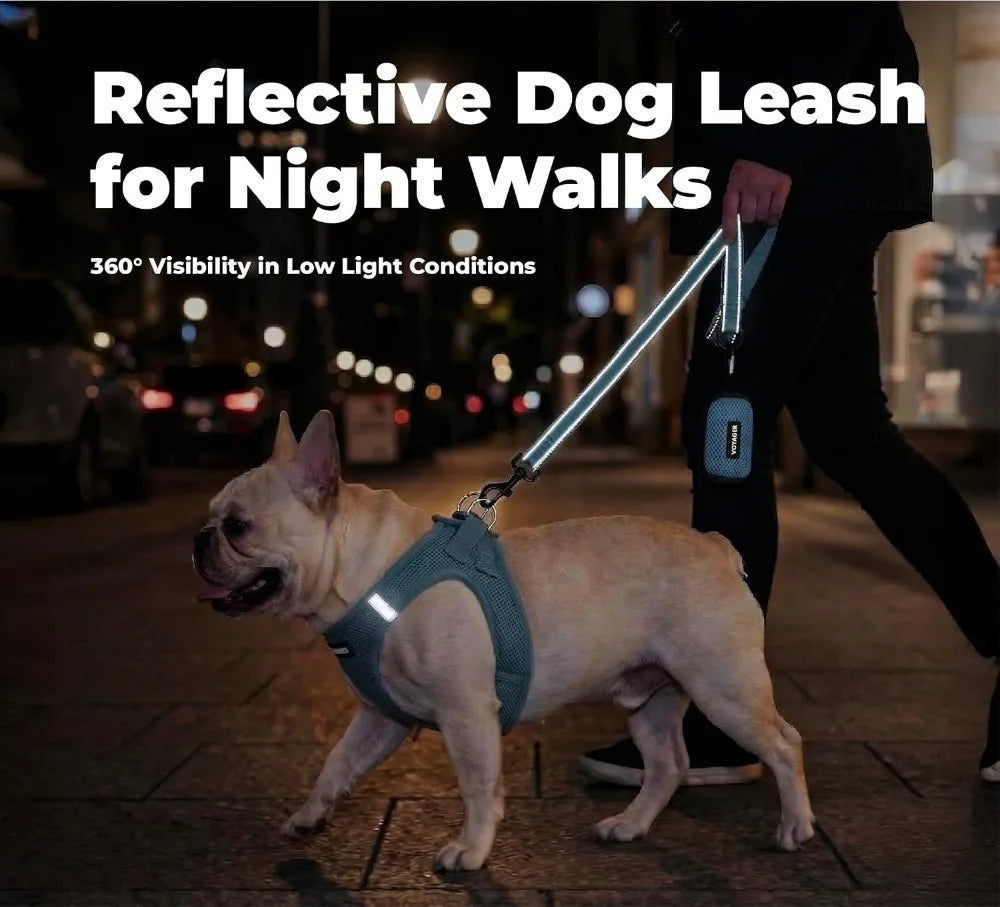 Reflective Neoprene Handle Heavy Duty Nylon Dog Leash